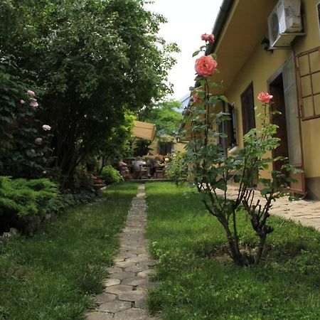 Apartman Brankova Kuca Karlofça Dış mekan fotoğraf