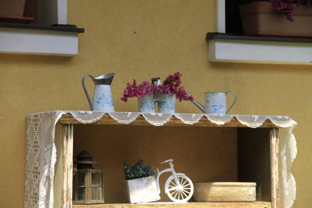 Apartman Brankova Kuca Karlofça Dış mekan fotoğraf