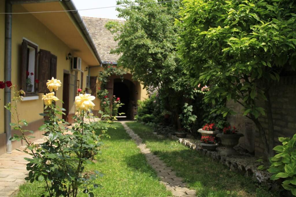 Apartman Brankova Kuca Karlofça Dış mekan fotoğraf