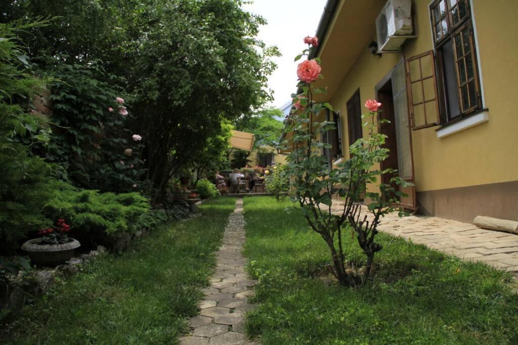 Apartman Brankova Kuca Karlofça Dış mekan fotoğraf